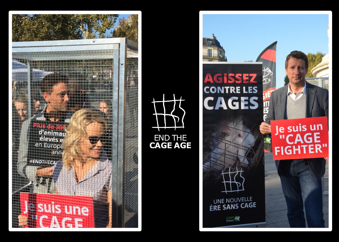 cage age event