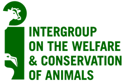 intergroup logo 