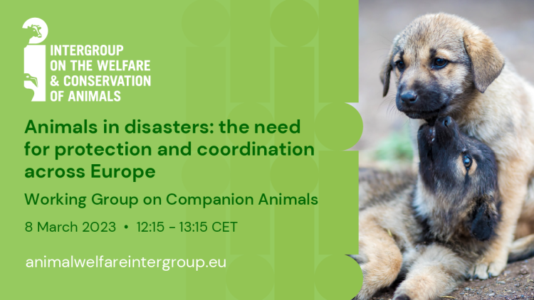 Intergroup on the Welfare and Conservation of Animals