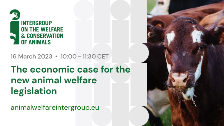Intergroup on the Welfare and Conservation of Animals